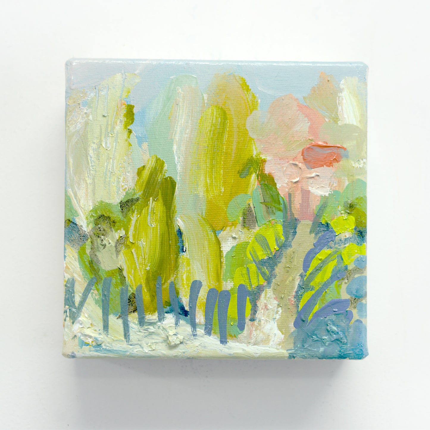 Little Pink Houses 07