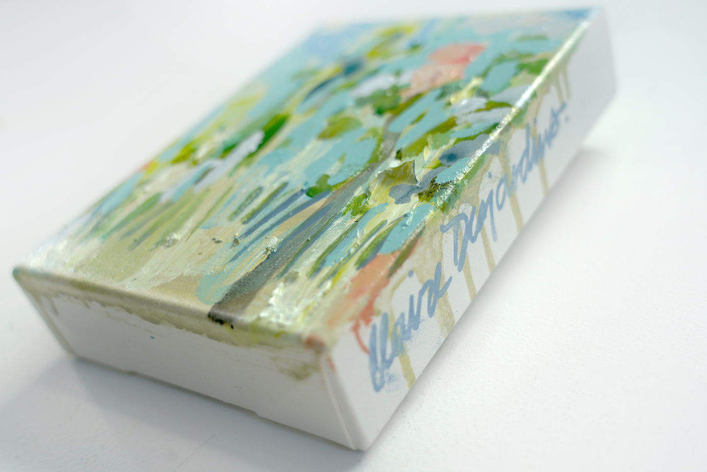 Little Pink Houses 06