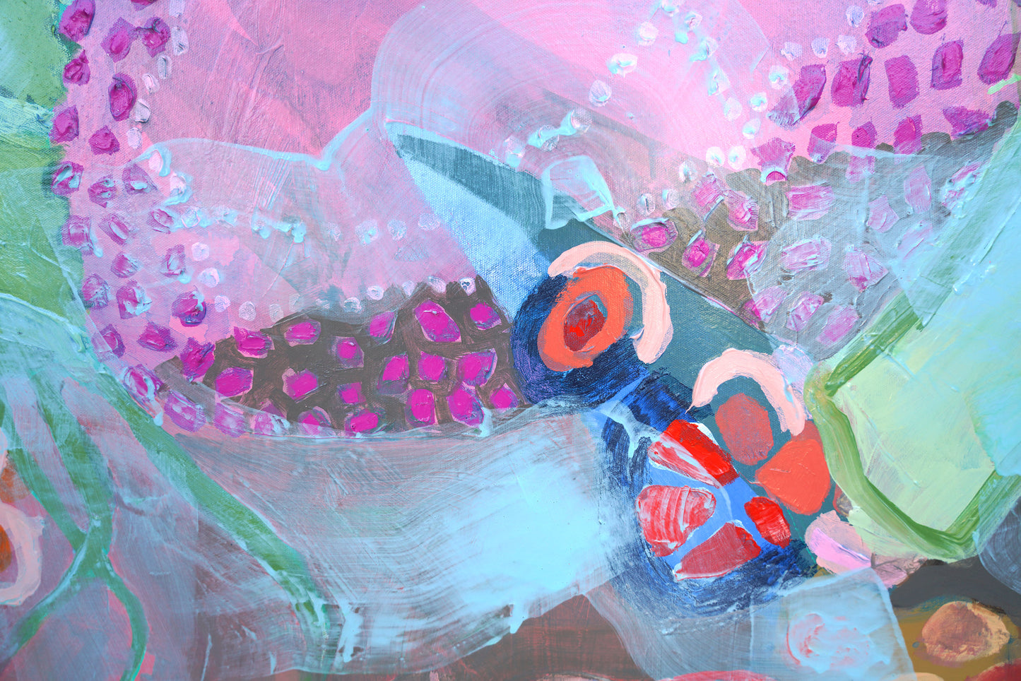 The Silk Floss Tree and Other Friends from My Garden