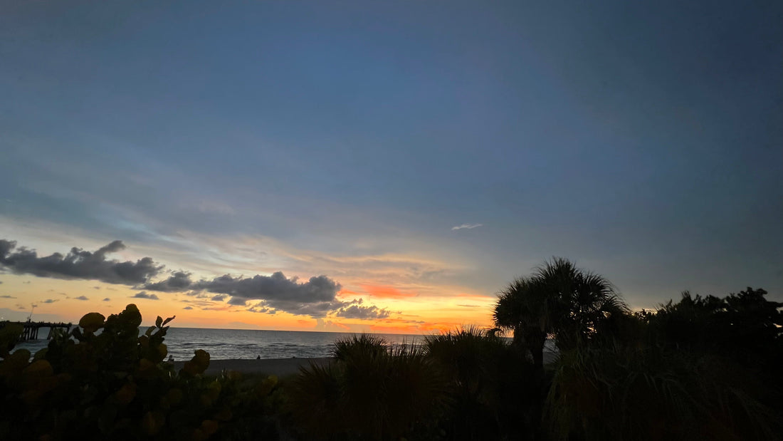 Abstract artist Claire Desjardins shares about saying goodbye to her beloved Sarasota home.