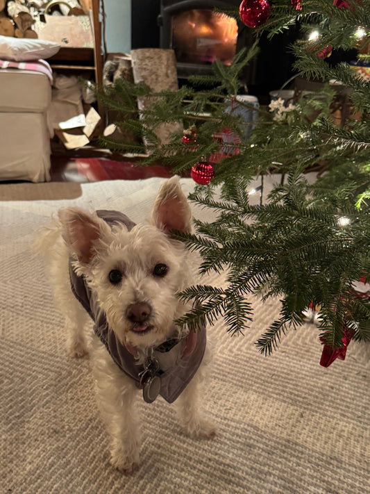 Give the gift of art: a holiday guide