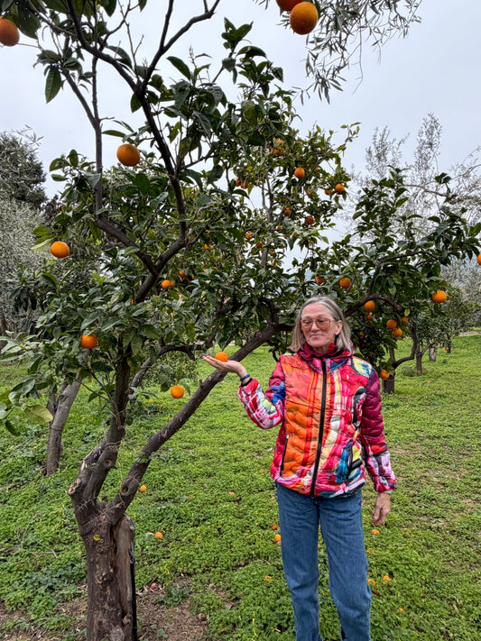 A slower rhythm in Sicily, among the citrus groves