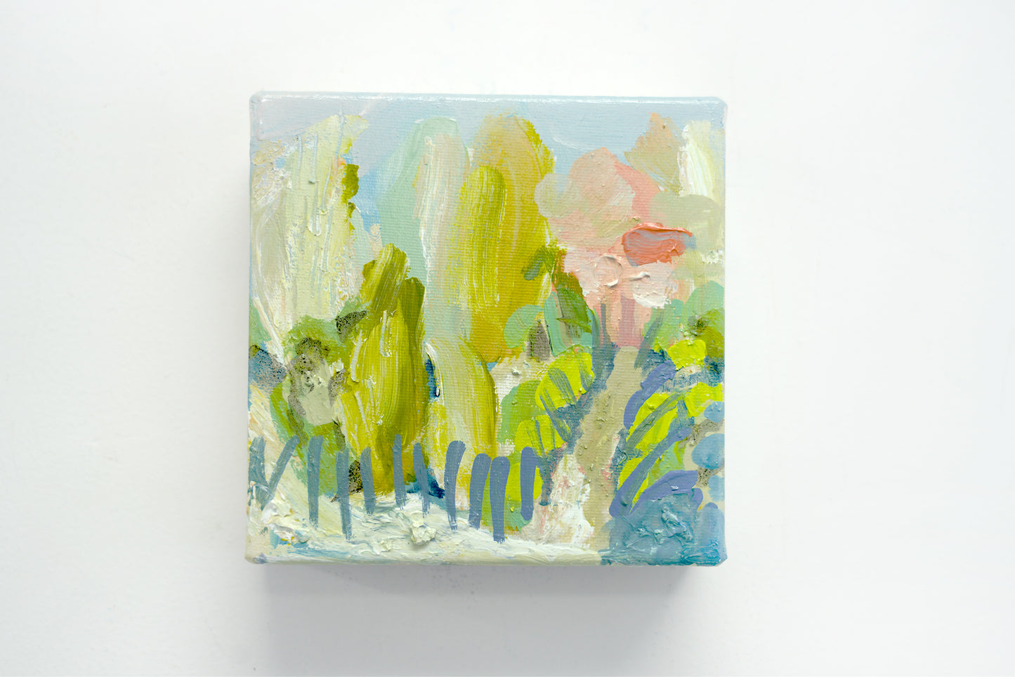 Little Pink Houses 07