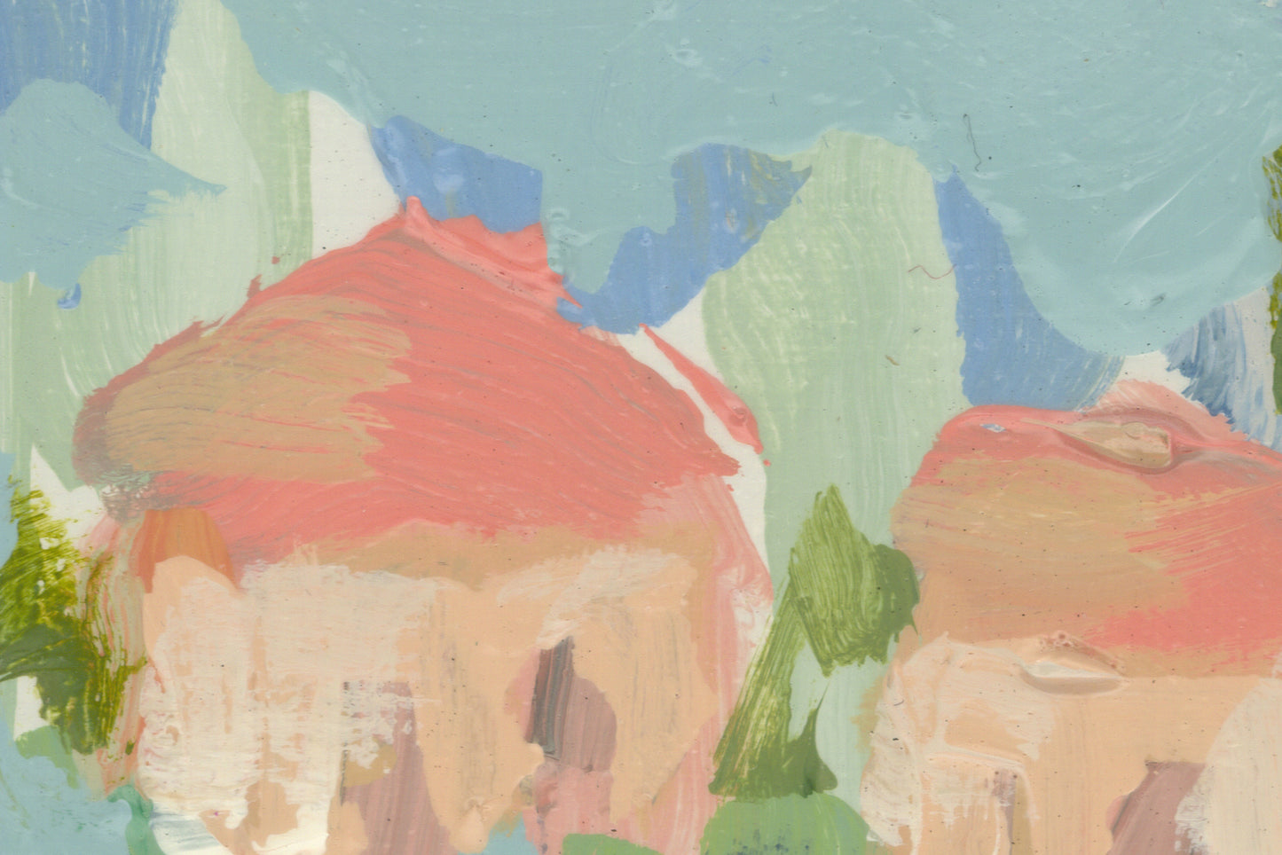 Little Pink Houses 05