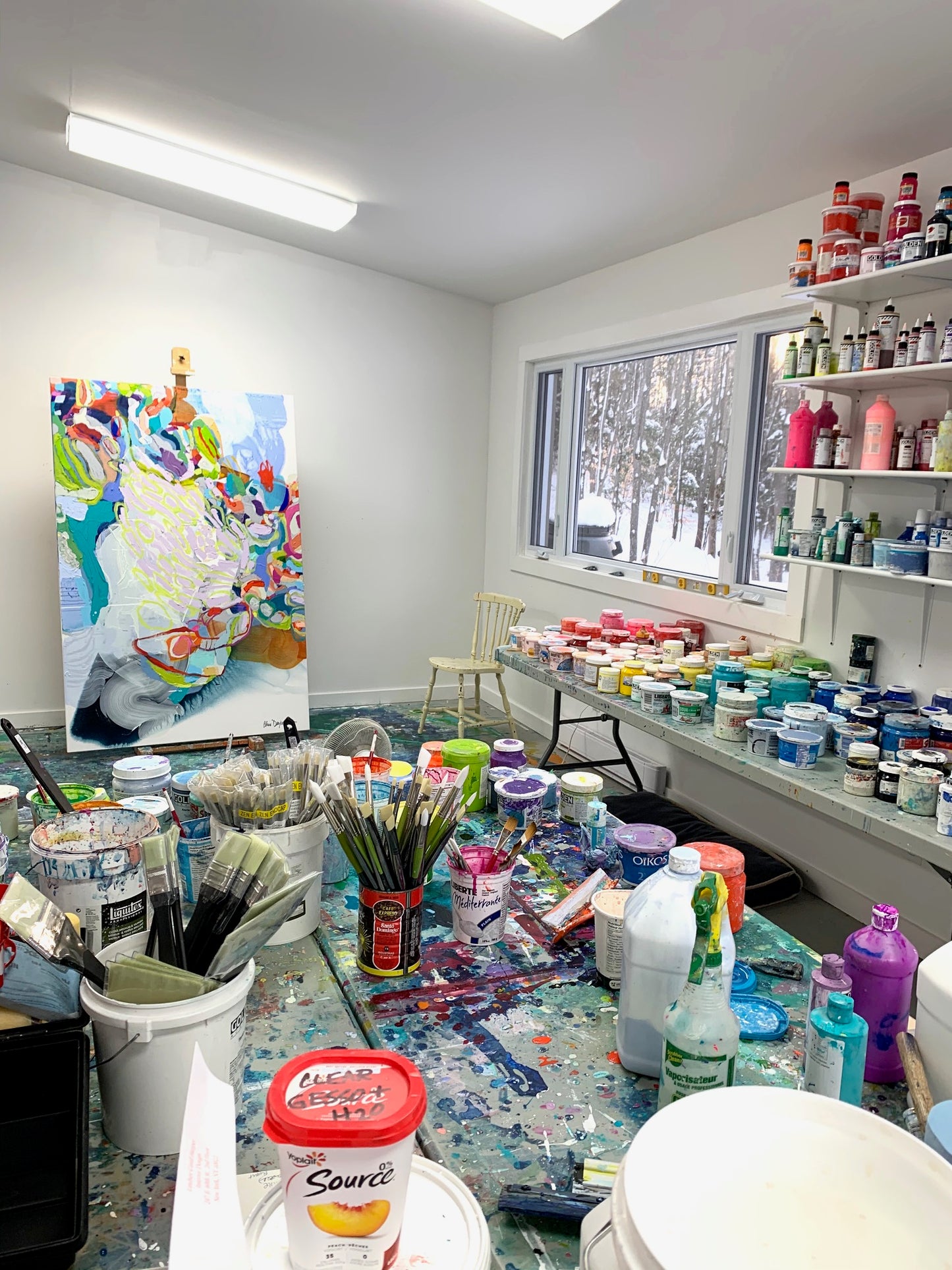 Dragonflies and Daydreams